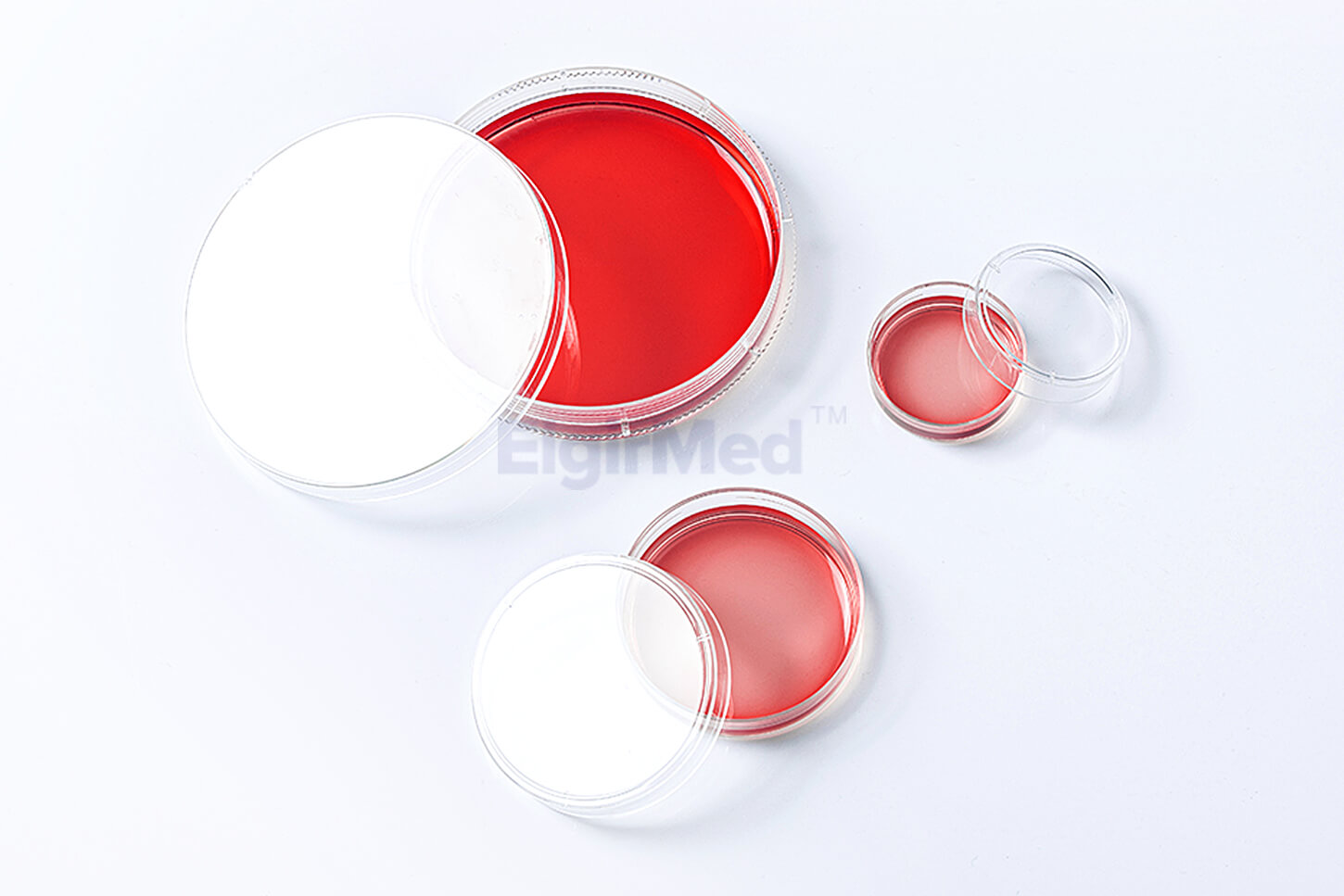 petri dish
