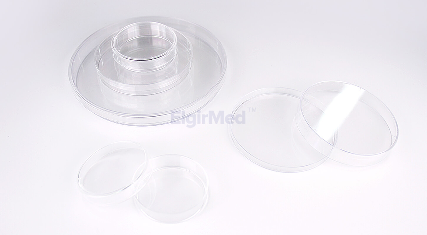 petri dish for growing bacteria