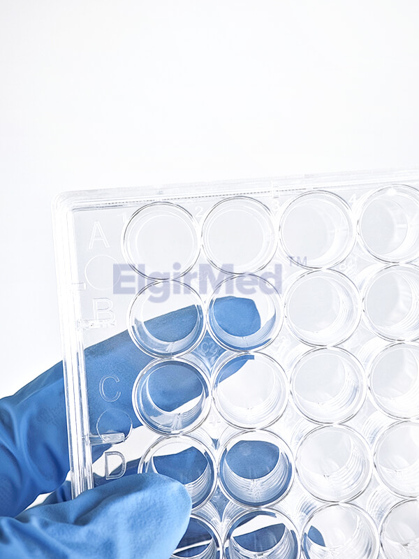 cell culture plates