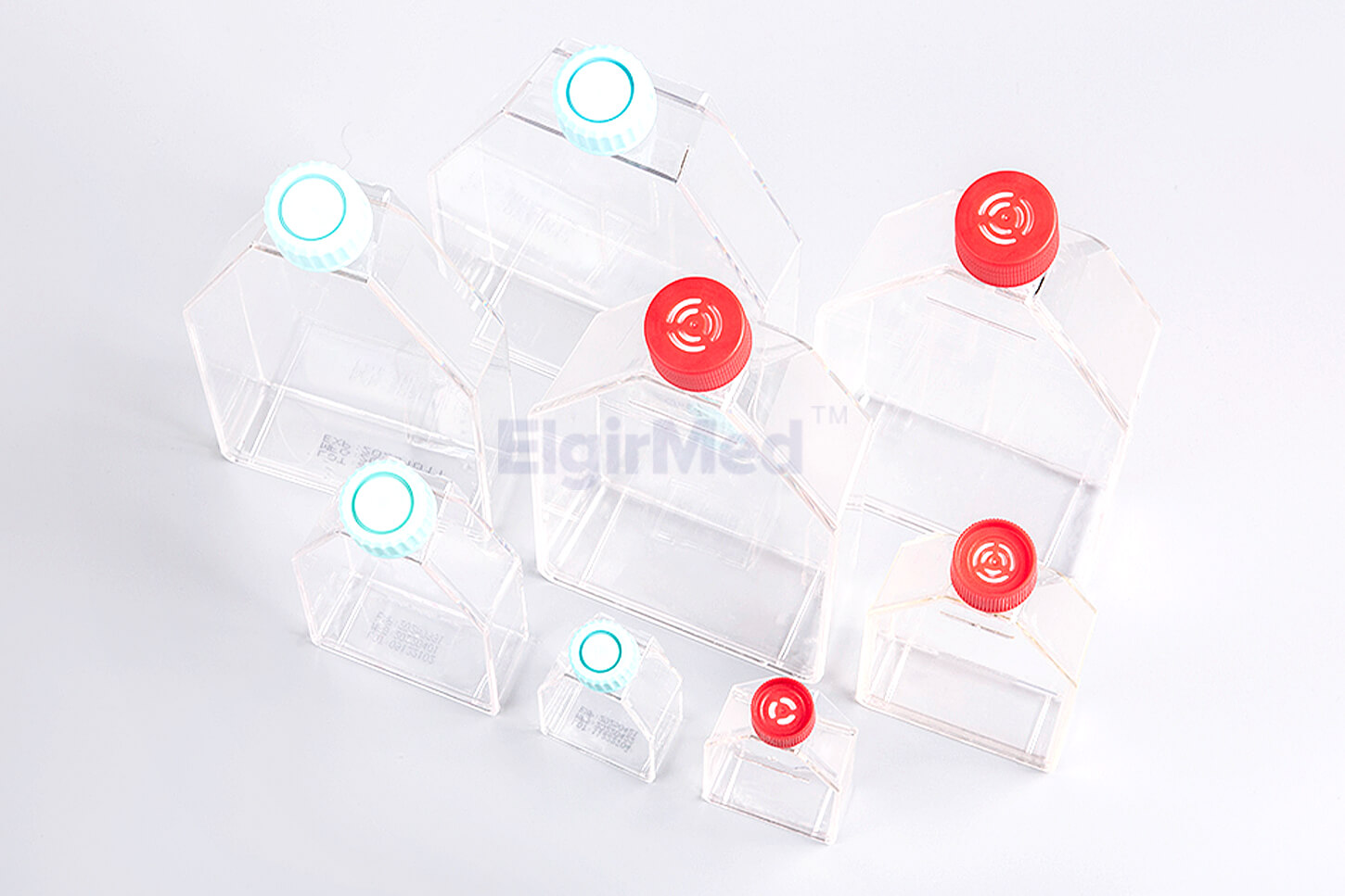 tissue culture flask