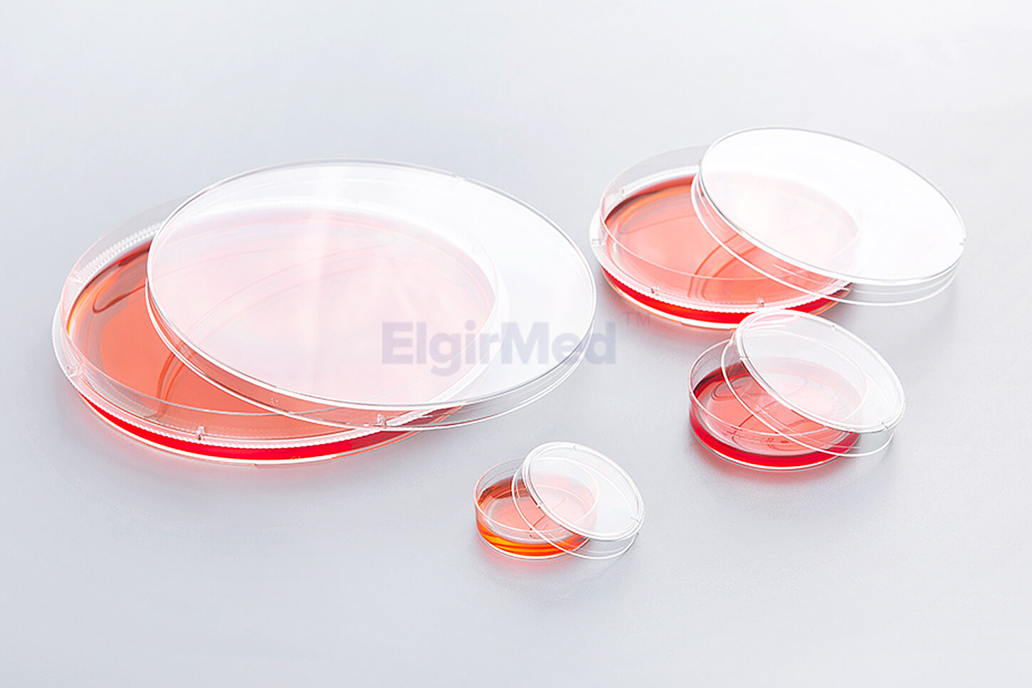 cell petri dish