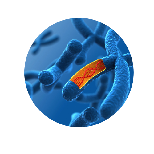 Gene synthesis
