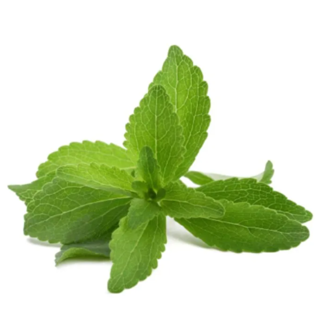 Stevia Manufacturer Supply Bulk Stevia 97%
