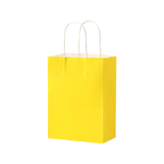 Matte Color Kraft Paper Bags w/Handles
