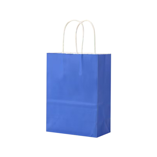 Matte Color Kraft Paper Bags w/Handles