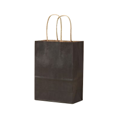 Matte Color Kraft Paper Bags w/Handles