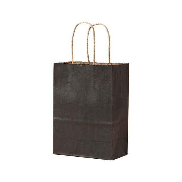 Matte Color Kraft Paper Bags w/Handles