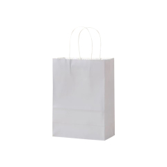 Matte Color Kraft Paper Bags w/Handles