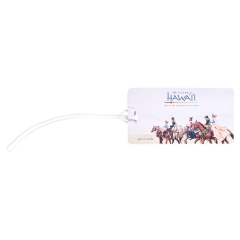 PVC Luggage Tag w/Paper Insert