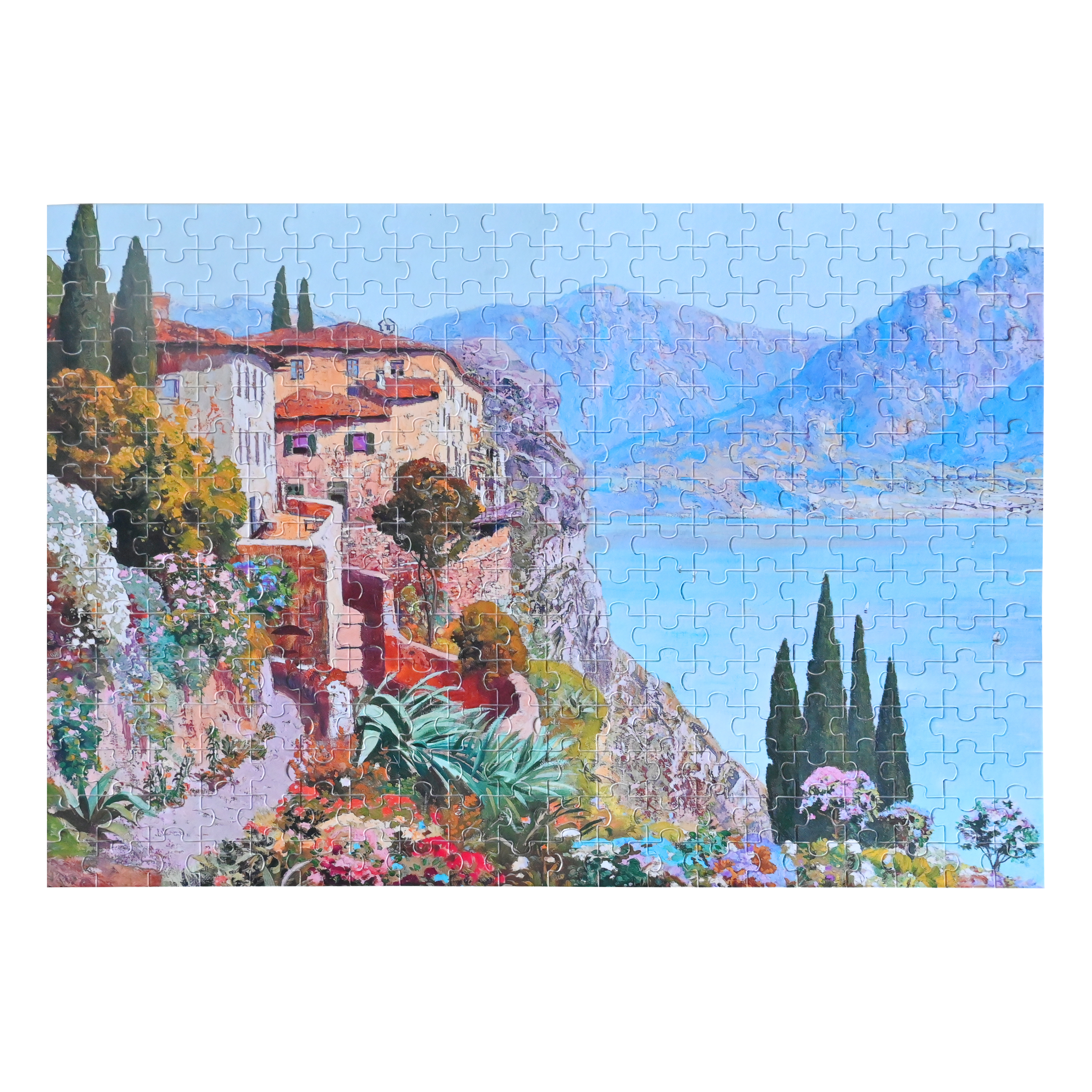 Jigsaw Puzzle 300 Pieces