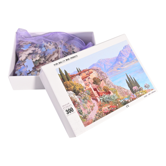 Jigsaw Puzzle 300 Pieces