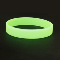 1/2 Inch Glow In The Dark Silione Wristband