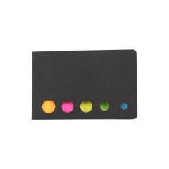 Mini Eco-Friendly Sticky Notes & Flag