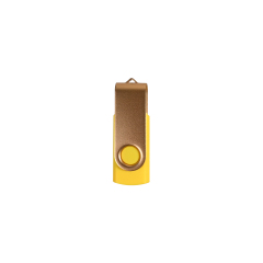 2 GB Classic Swivel USB Flash Drive