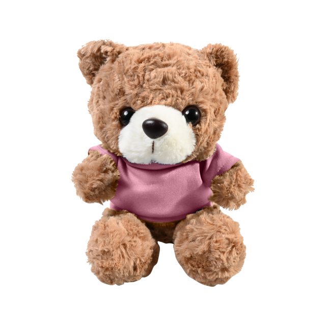 Plush 10" Teddy Bear with T-shirt