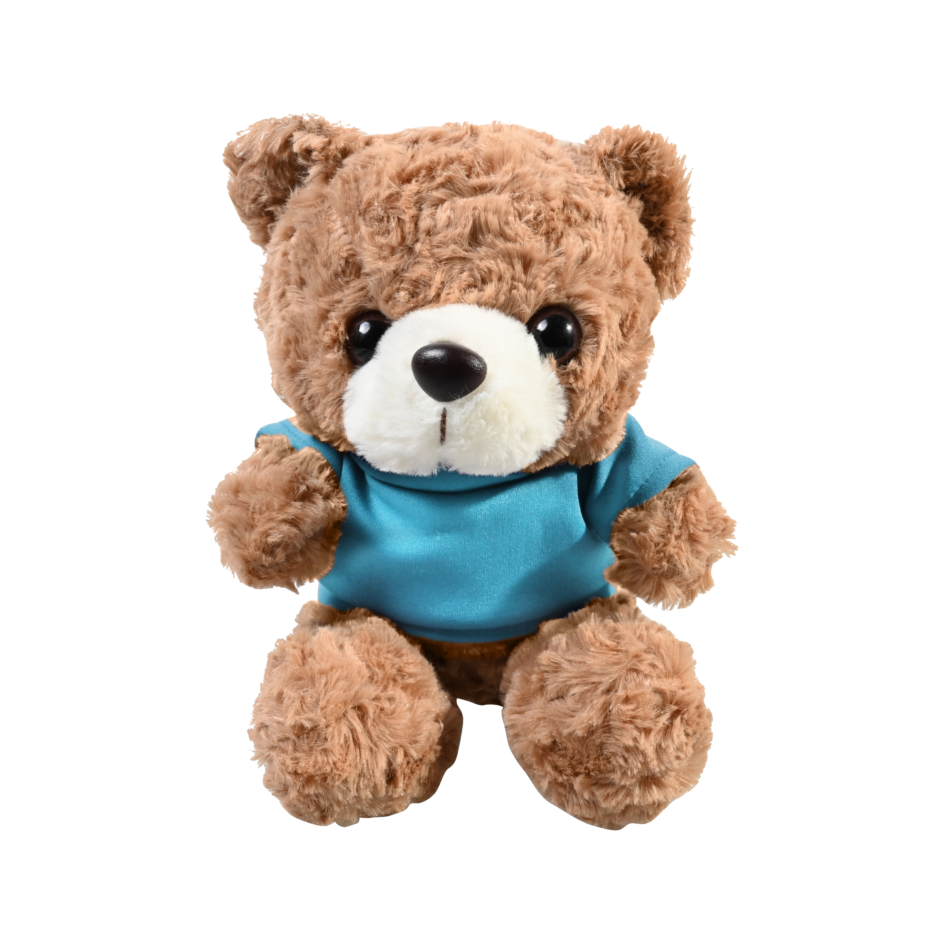 Plush 10" Teddy Bear with T-shirt