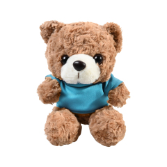 Plush 10" Teddy Bear with T-shirt