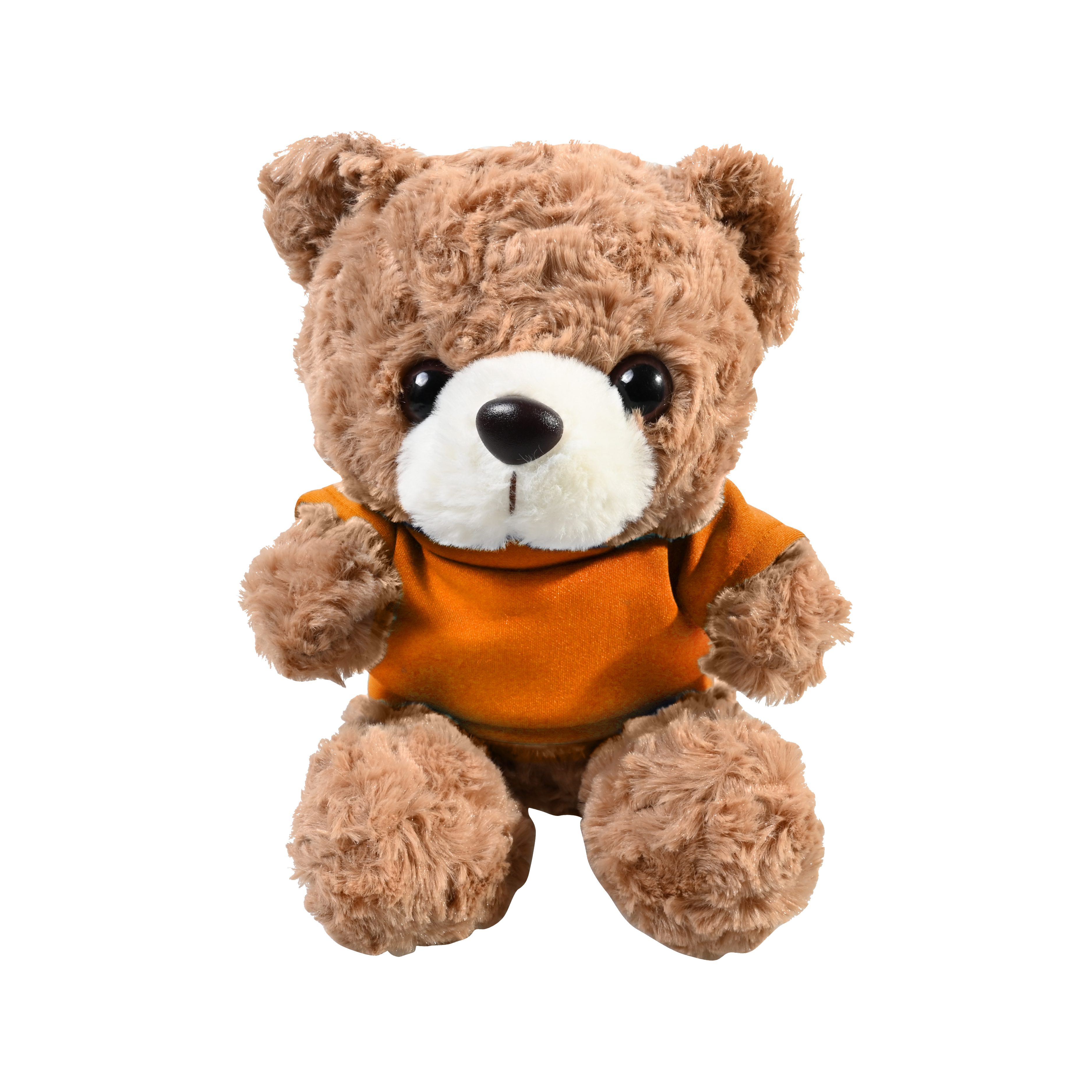 Plush 10" Teddy Bear with T-shirt