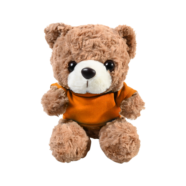 Plush 10" Teddy Bear with T-shirt