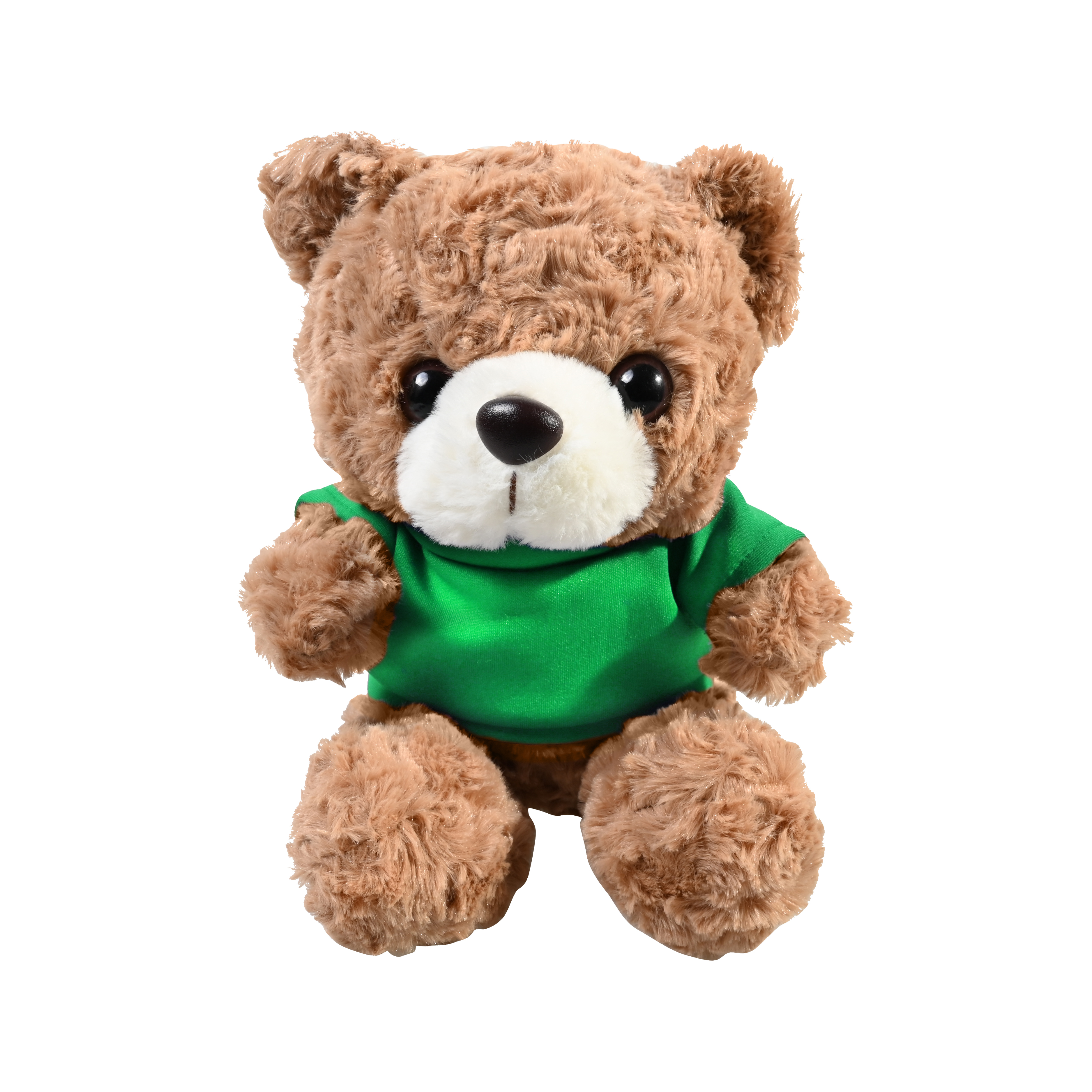 Plush 10" Teddy Bear with T-shirt