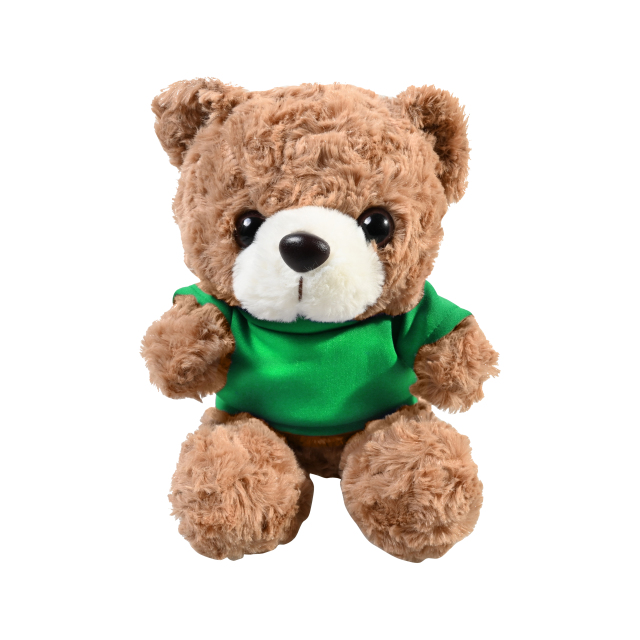 Plush 10" Teddy Bear with T-shirt