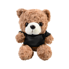 Plush 10" Teddy Bear with T-shirt