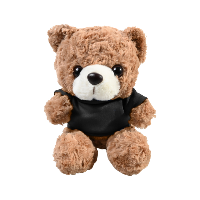 Plush 10" Teddy Bear with T-shirt
