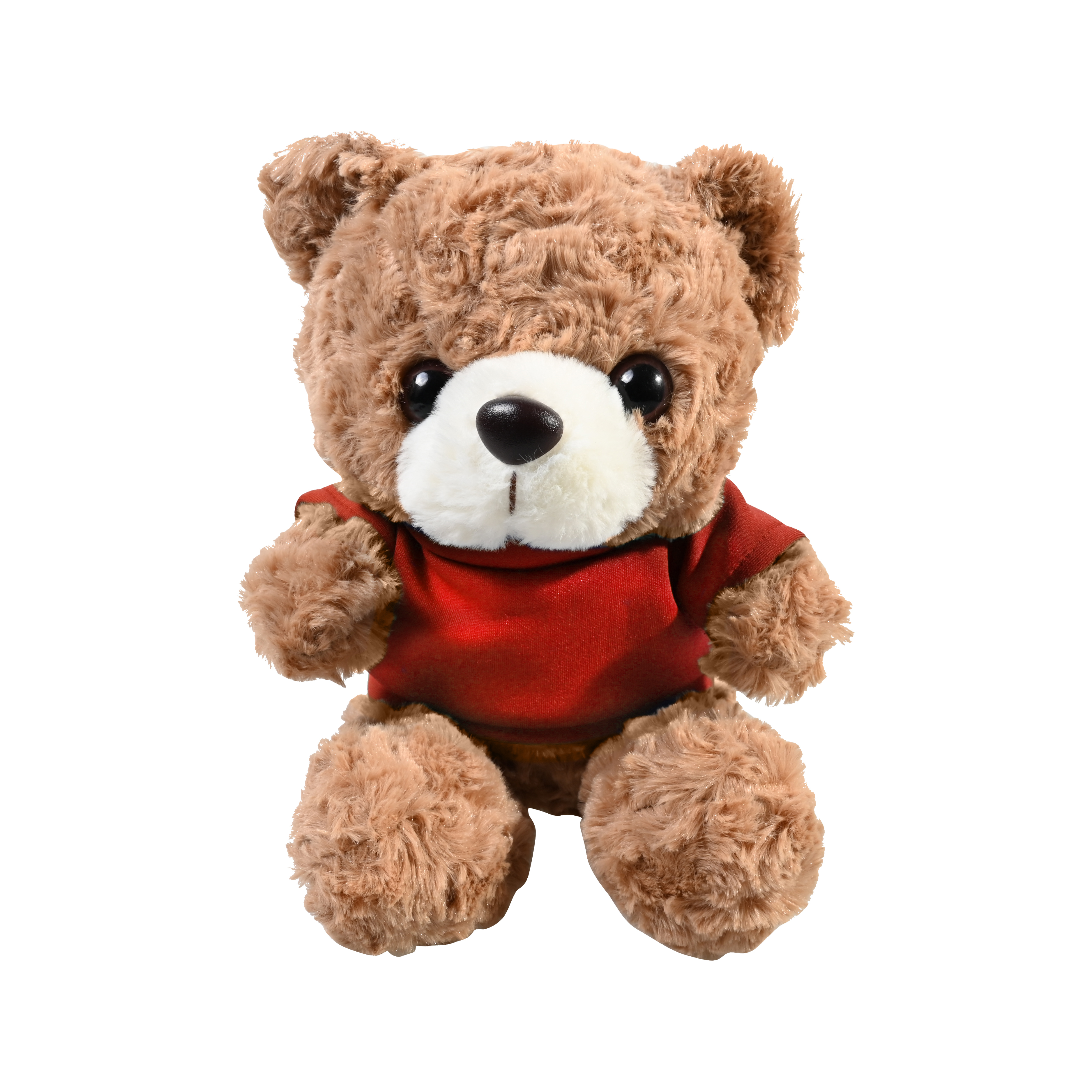Plush 10" Teddy Bear with T-shirt