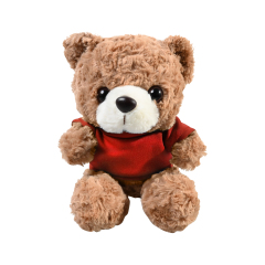 Plush 10" Teddy Bear with T-shirt
