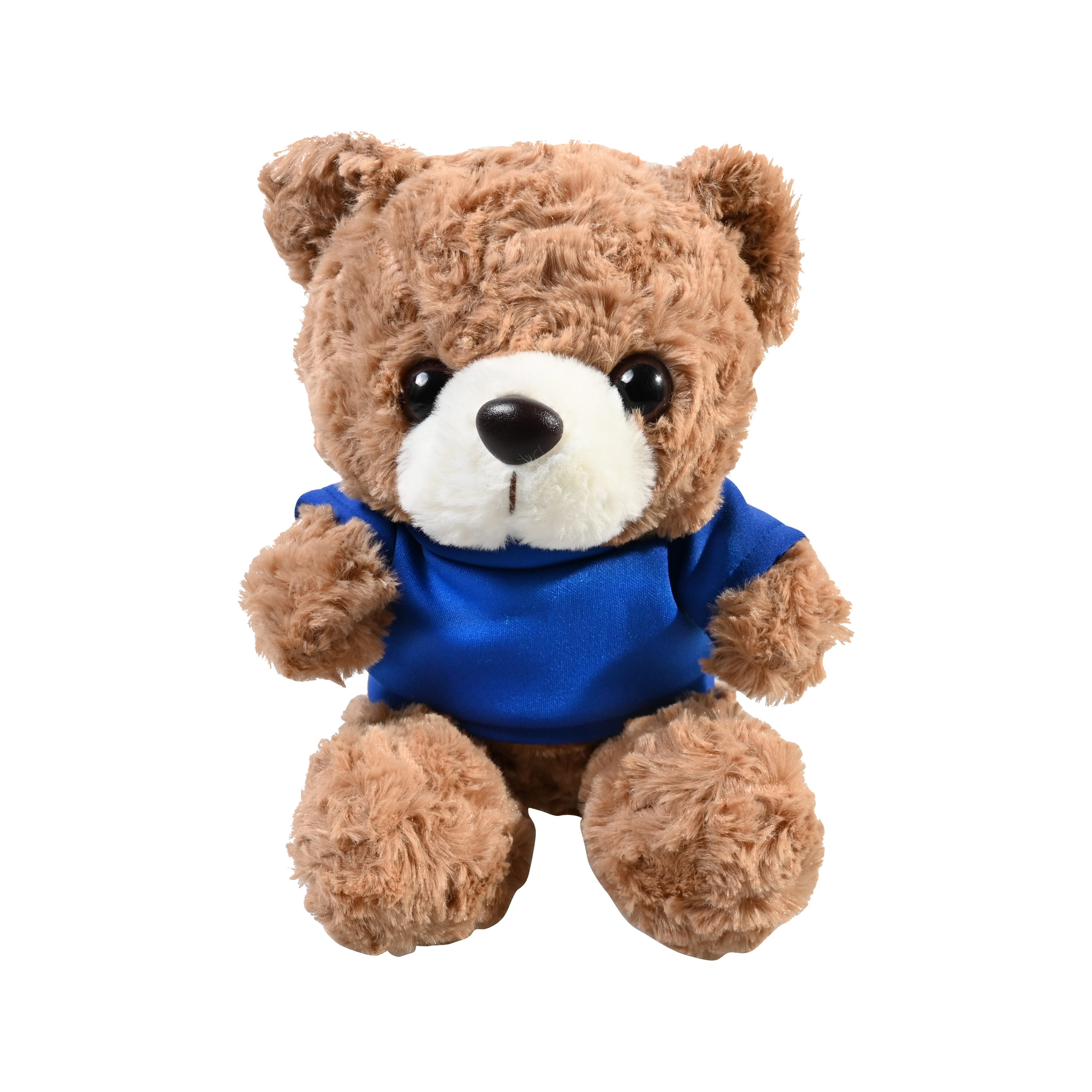 Plush 10" Teddy Bear with T-shirt