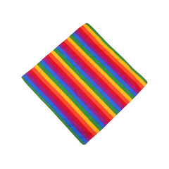 Rainbow Bandana