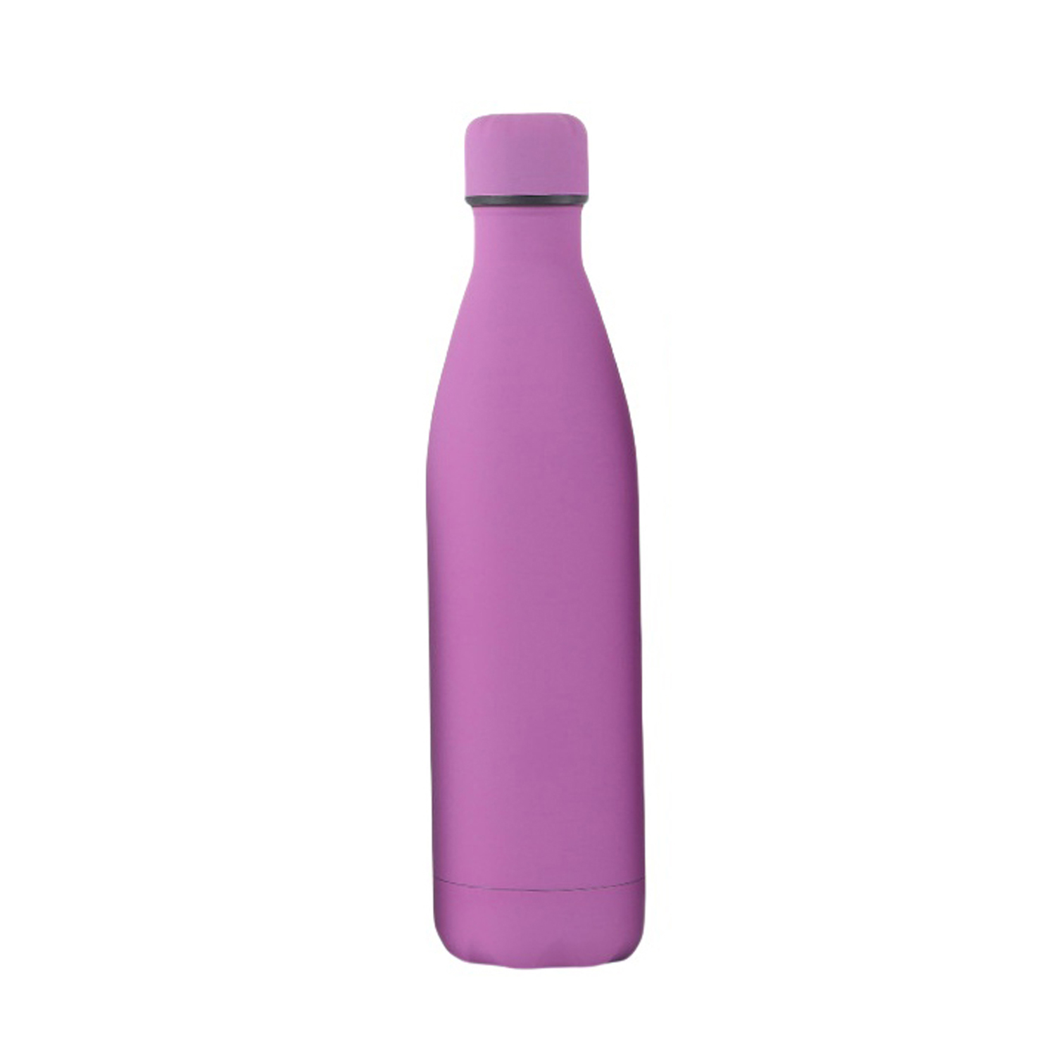 17 Oz Vacuum Insulated Bottle