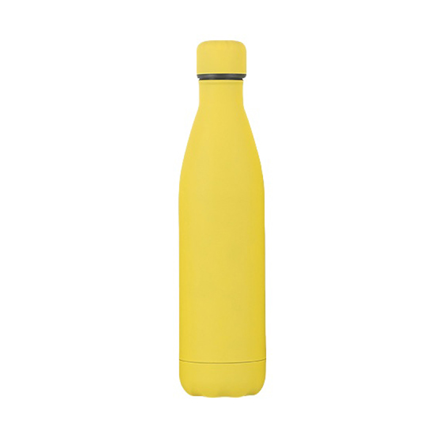 17 Oz Vacuum Insulated Bottle
