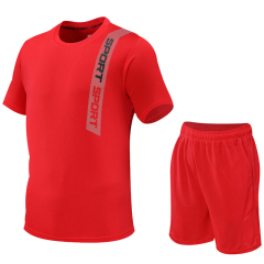 Custom Sublimation Quick Dry Crew Neck Sports T Shirts and Shotrs