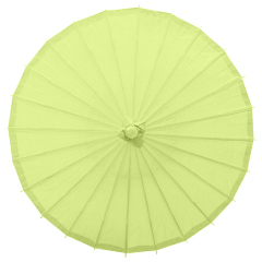 Blank Oil-paper Umbrella
