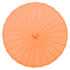 Blank Oil-paper Umbrella