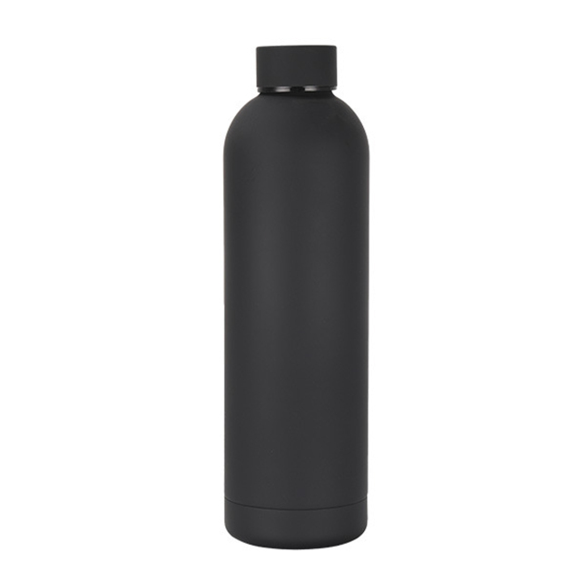 17 oz Stainless Steel Vacuum Insulated Bottle
