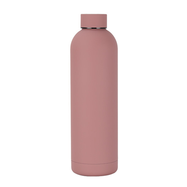 17 oz Stainless Steel Vacuum Insulated Bottle