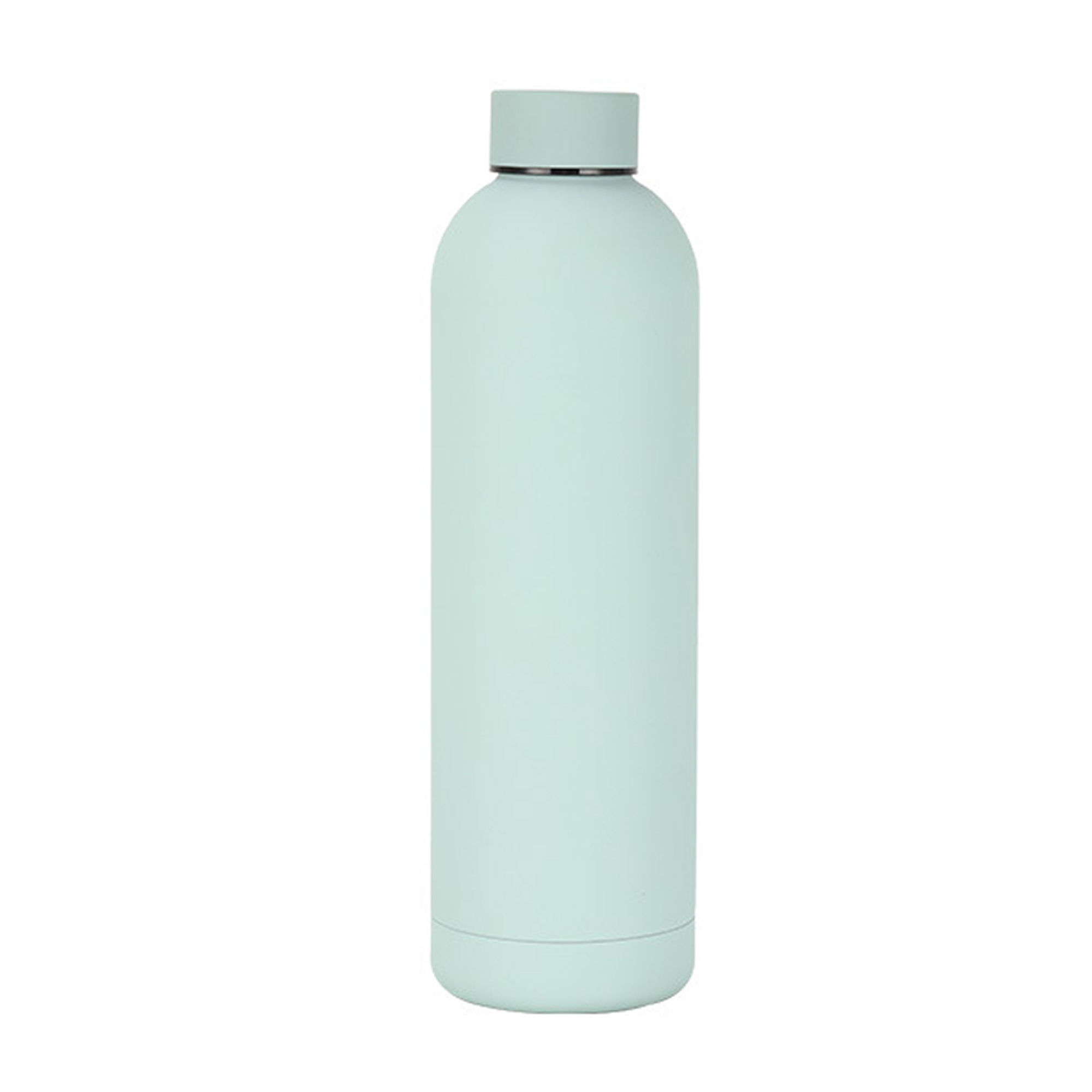 17 oz Stainless Steel Vacuum Insulated Bottle