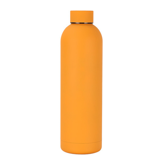 17 oz Stainless Steel Vacuum Insulated Bottle