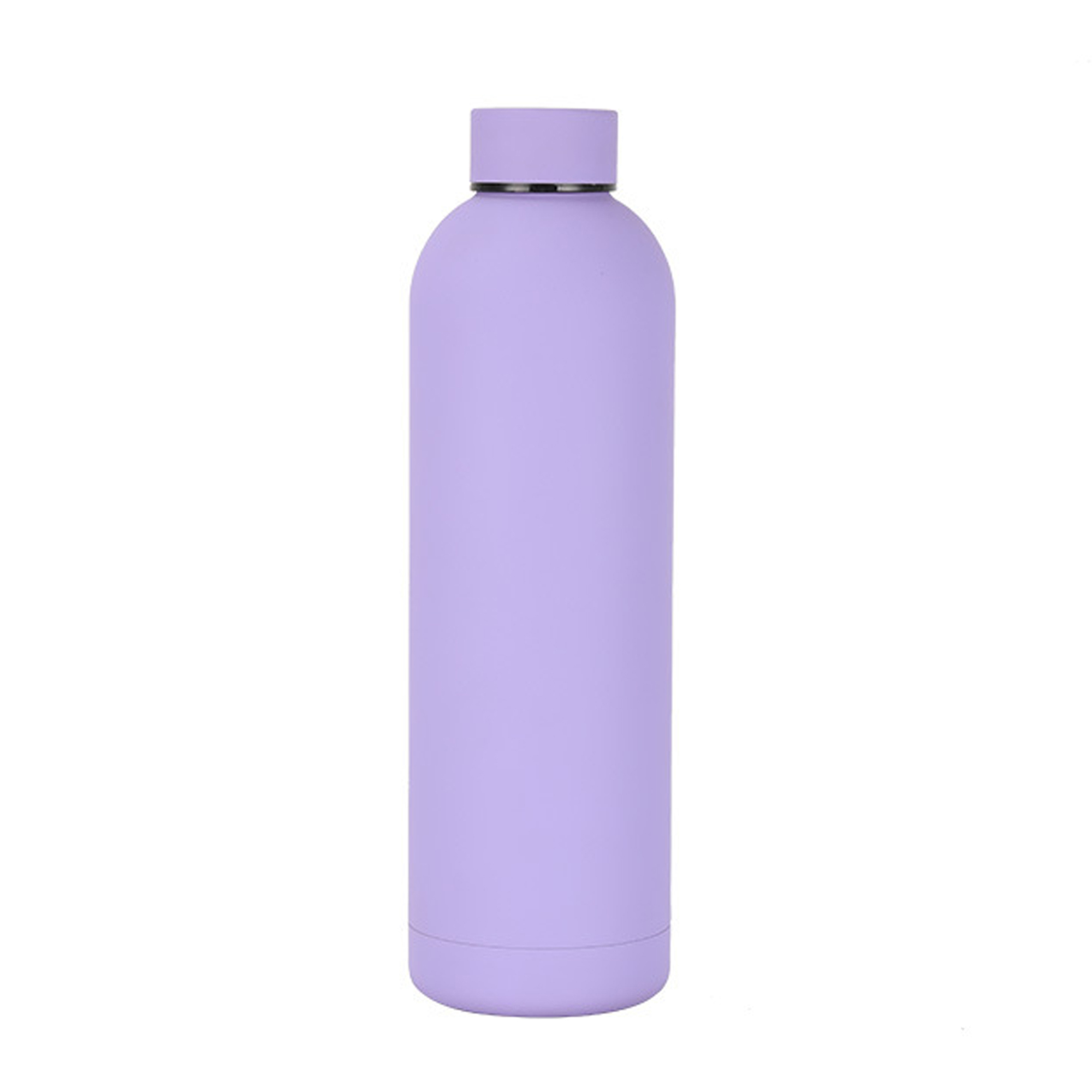 17 oz Stainless Steel Vacuum Insulated Bottle