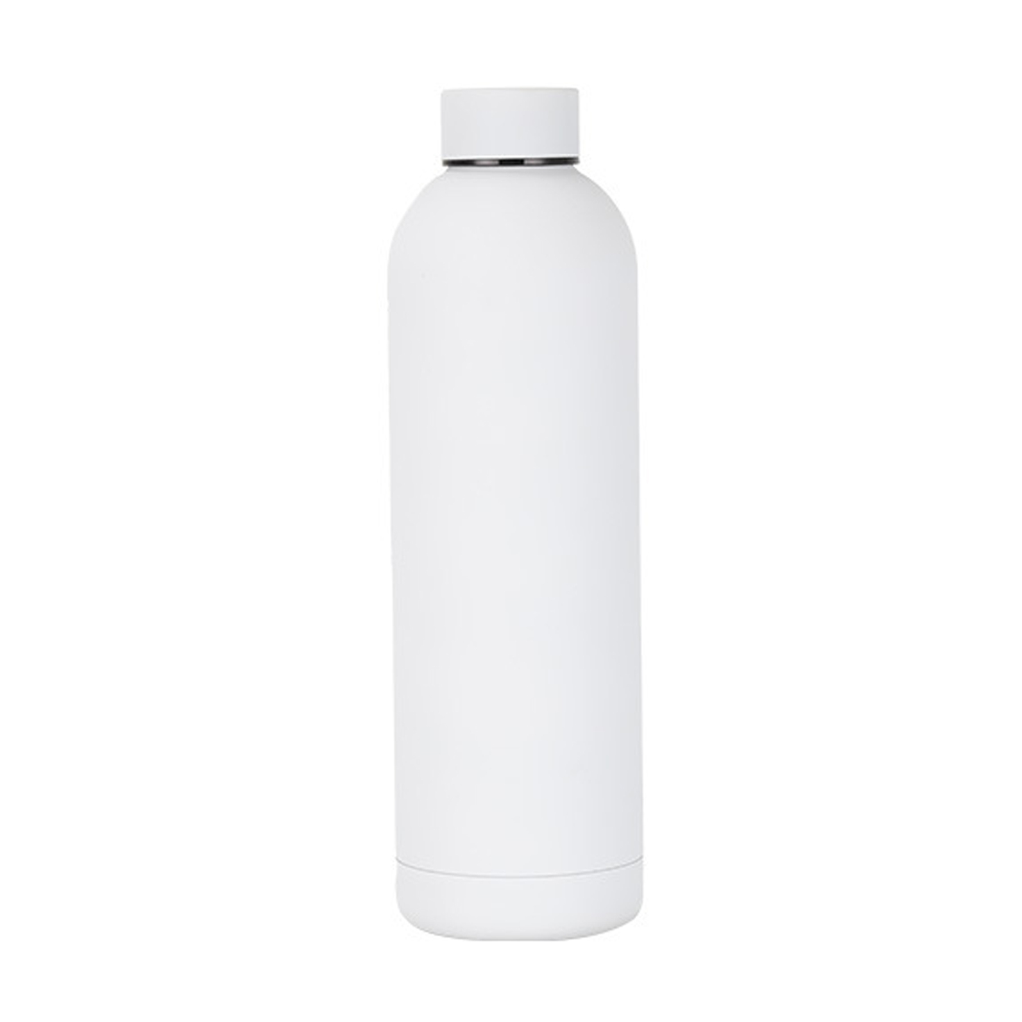17 oz Stainless Steel Vacuum Insulated Bottle