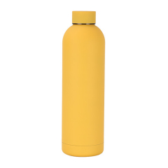 17 oz Stainless Steel Vacuum Insulated Bottle
