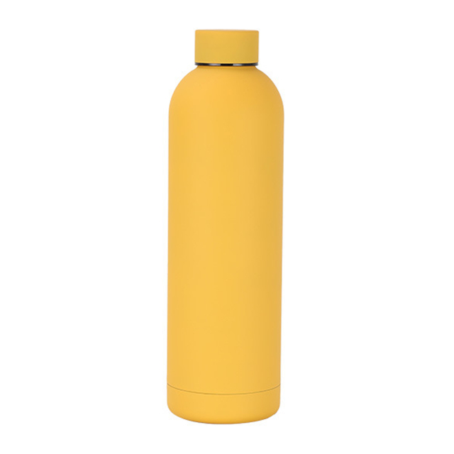 17 oz Stainless Steel Vacuum Insulated Bottle
