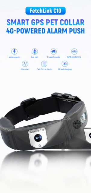 New Concept Pet Collar GPS Wireless Dog Fence & Pet Training Collar with GPS Tracker and Camera of Wide Angel View,CCTV Camera | IP Network Camera | Hidden Camera | Spy Camera | Mini Camera | Clock Camera | USB Wall Charger Camera | DIY Module Camera | Car Keychain Camera | Pen Camera | Watch Camera | Hat Camera | Power Bank Camera | Glasses Camera | WiFi Camera,New Concept Pet Collar GPS Wireless Dog Fence & Pet Training Collar with GPS Tracker and Camera of Wide Angel View