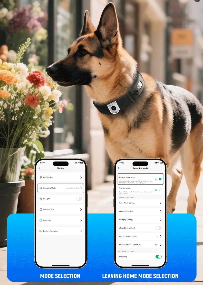 New Concept Pet Collar GPS Wireless Dog Fence & Pet Training Collar with GPS Tracker and Camera of Wide Angel View,CCTV Camera | IP Network Camera | Hidden Camera | Spy Camera | Mini Camera | Clock Camera | USB Wall Charger Camera | DIY Module Camera | Car Keychain Camera | Pen Camera | Watch Camera | Hat Camera | Power Bank Camera | Glasses Camera | WiFi Camera,New Concept Pet Collar GPS Wireless Dog Fence & Pet Training Collar with GPS Tracker and Camera of Wide Angel View