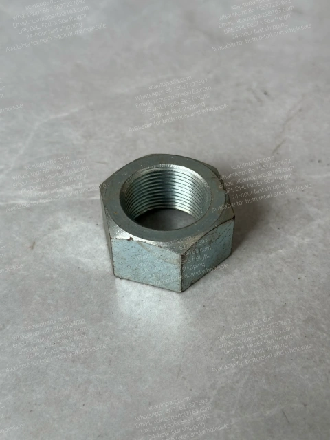 10 PCS HINO 700 500 300 PROFIA RANGER TRUCK NUT