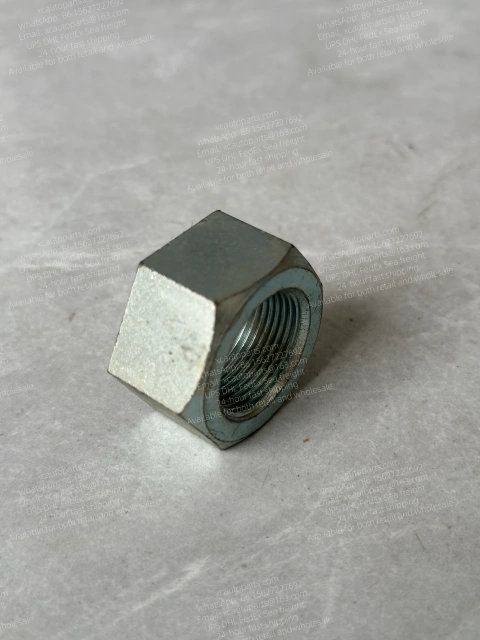 10 PCS HINO 700 500 300 PROFIA RANGER TRUCK NUT