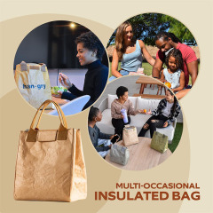 Capacity Insulated Lunch Bag