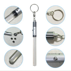 LED Acrylic Glow Stick Keychain